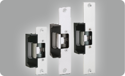 Electric Door Locks