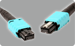 MTP Polarity