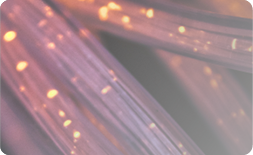 Loose Tube V Tight Buffered Cable