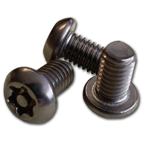 Stainless Steel M6 x 10mm Security Screws
