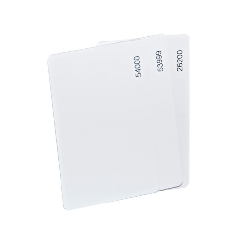 Numbered EM format ISO printable white card. read/write capability. Single card supplied.