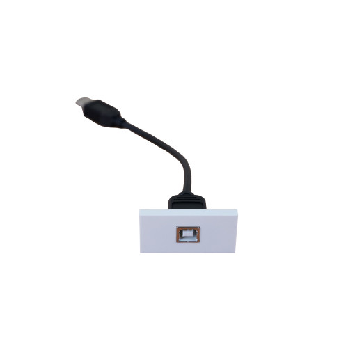 White USB Type B Module (Each)